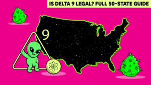 D9 50 State Guide
