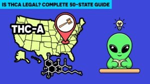 Is THCA Legal Complete 50-State Guide