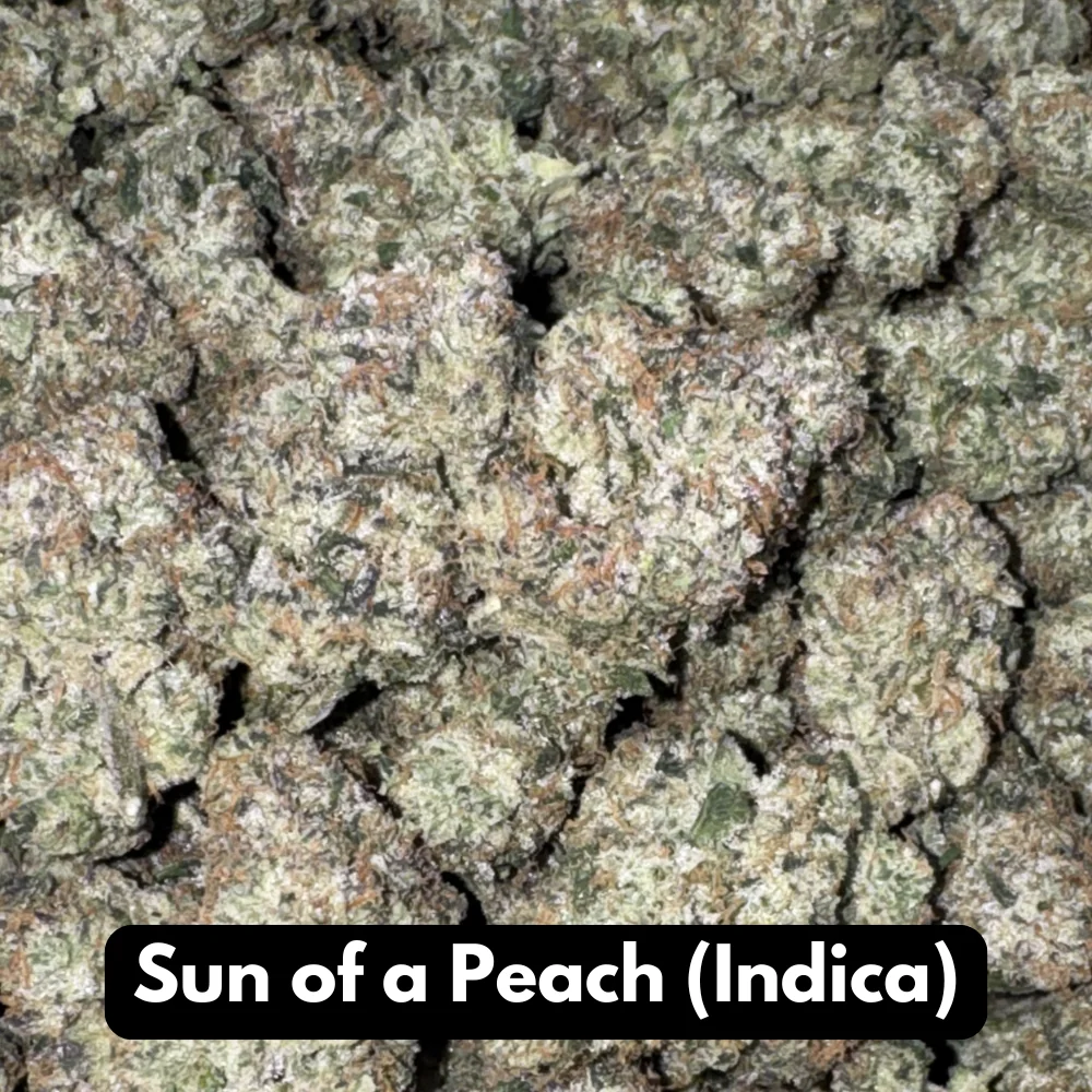 Natural THC-A hemp flower in Sun of a Peach, indica strain, in a resealable pouch