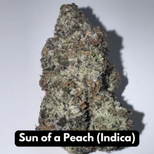 Natural THC-A hemp flower in Sun of a Peach, indica strain, in a resealable pouch — close-up of the buds