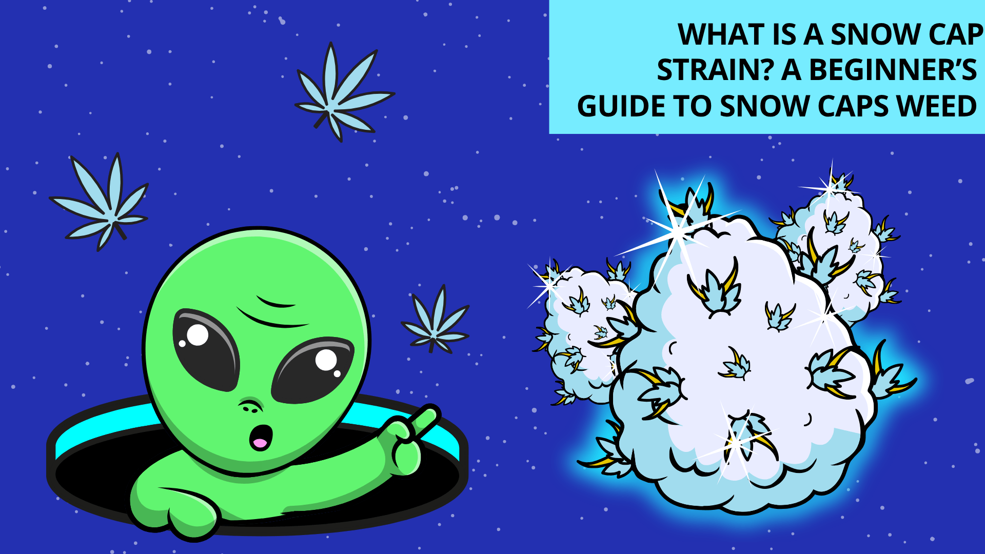 What is a Snow Cap Strain A Beginner’s Guide to Snow Caps Weed