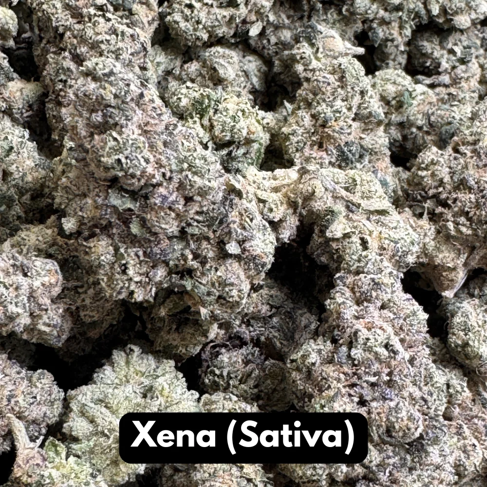 Natural THC-A hemp flower in Xena, sativa strain, in a resealable pouch