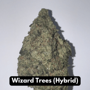 Natural THC-A hemp flower in Wizard Trees, hybrid strain, in a resealable pouch — close-up of the buds