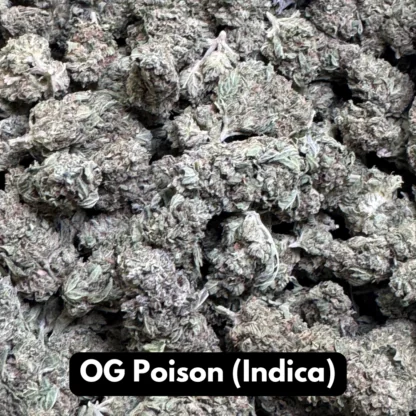 Natural THC-A Flower (Indica ~ OG Poison)