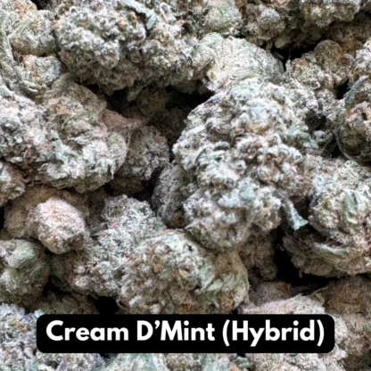 Natural THC-A Flower (Hybrid ~ Cream D’Mint)